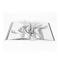 Load image into Gallery viewer, Julio Le Parc - Bifurcations
