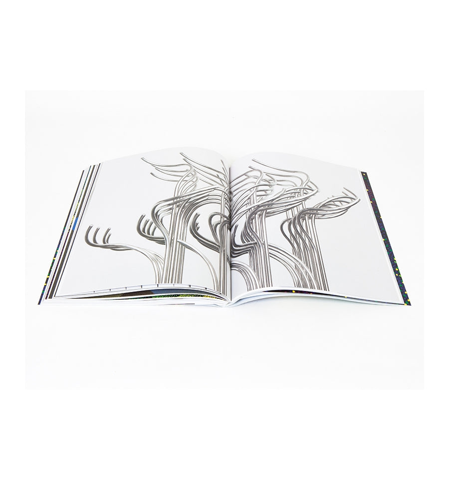 Julio Le Parc - Bifurcations