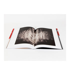 Julio Le Parc - Form into Action