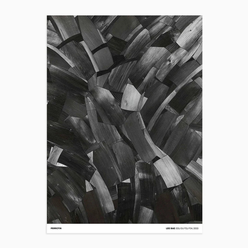 Lee Bae - Issu du Feu F04, 2003 (Standard)
