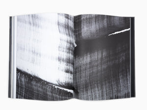Lee Bae - Self Titled Perrotin Monograph