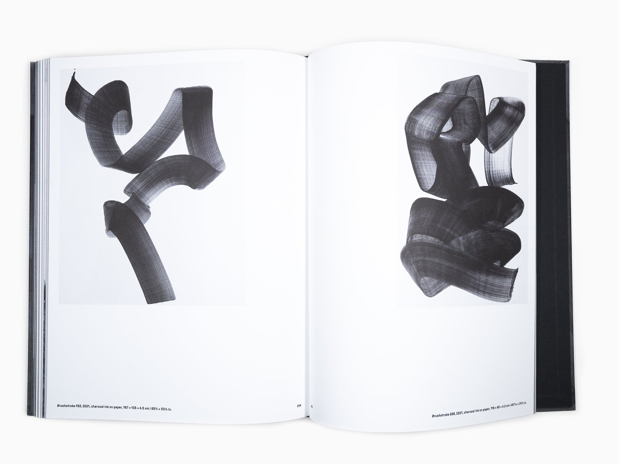 Lee Bae - Self Titled Perrotin Monograph