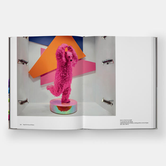 Paola Pivi - Self Titled Monograph edited by Justine Ludwig