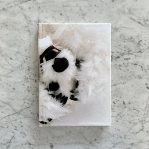 Paola Pivi - Baby Bear Journal (White)