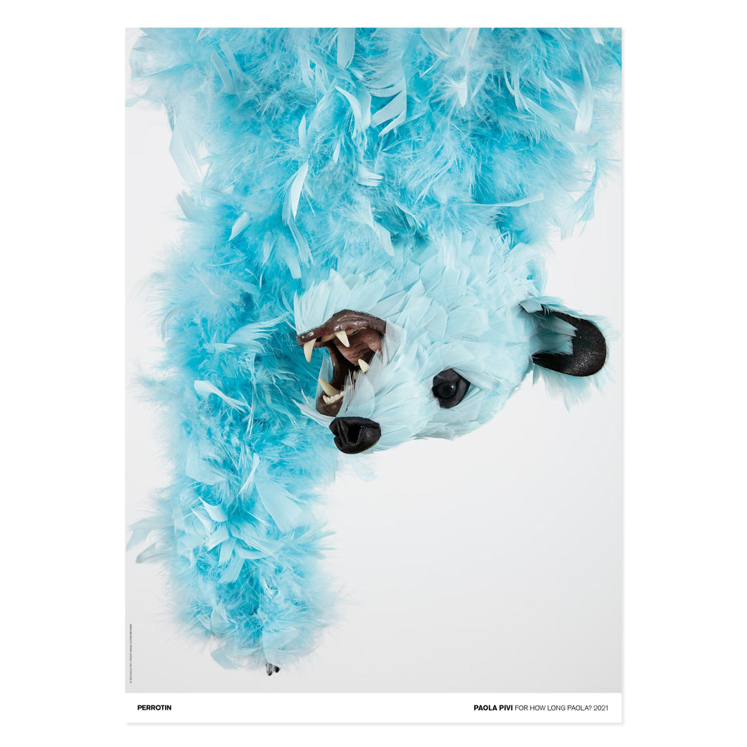 Paola Pivi - For How Long Paola?, 2021 (Standard)