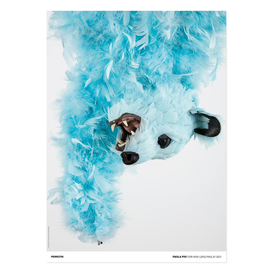 Paola Pivi - For How Long Paola?, 2021 (Signed)